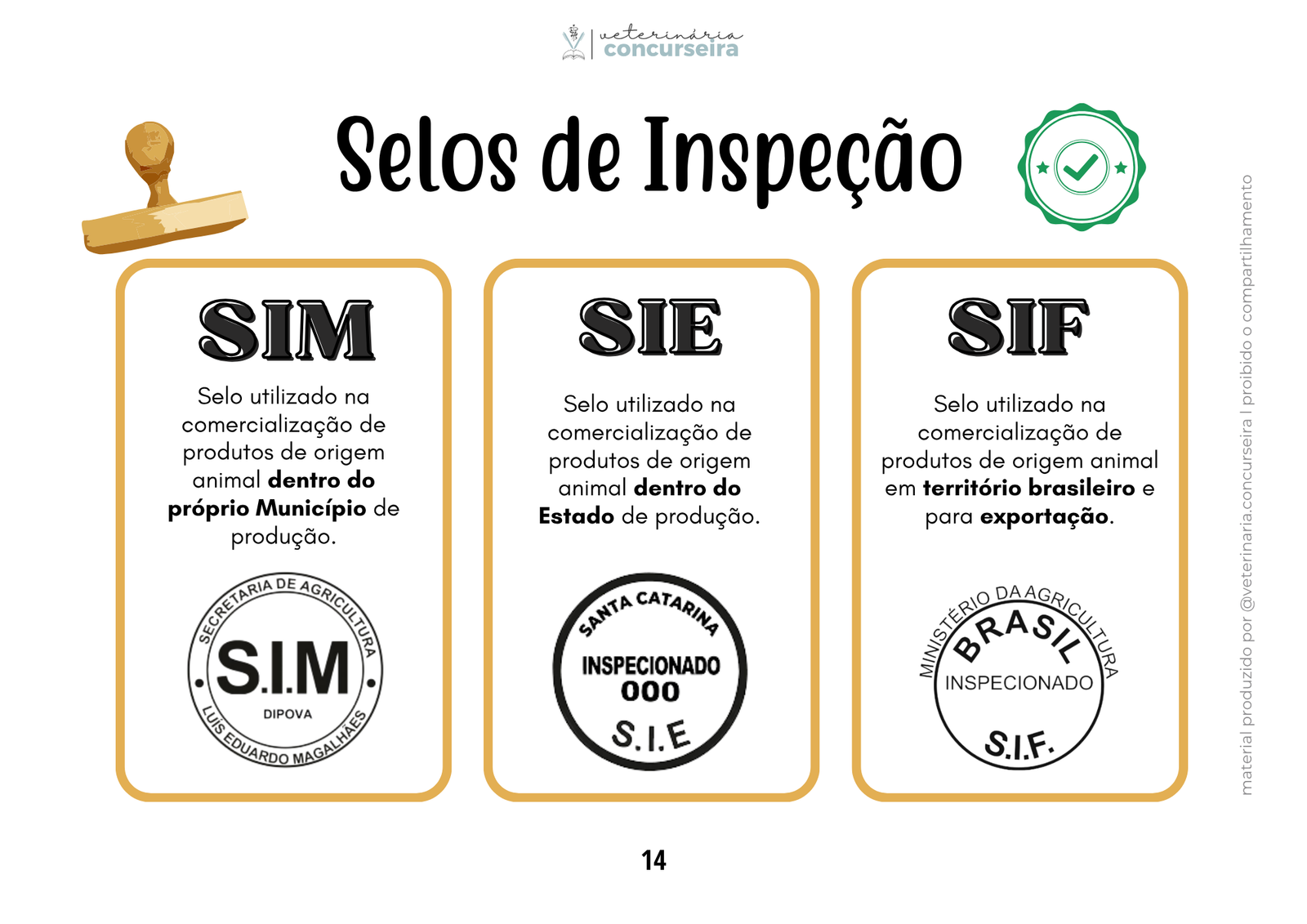 Bases da Inspeção ATUALIZADO (3)