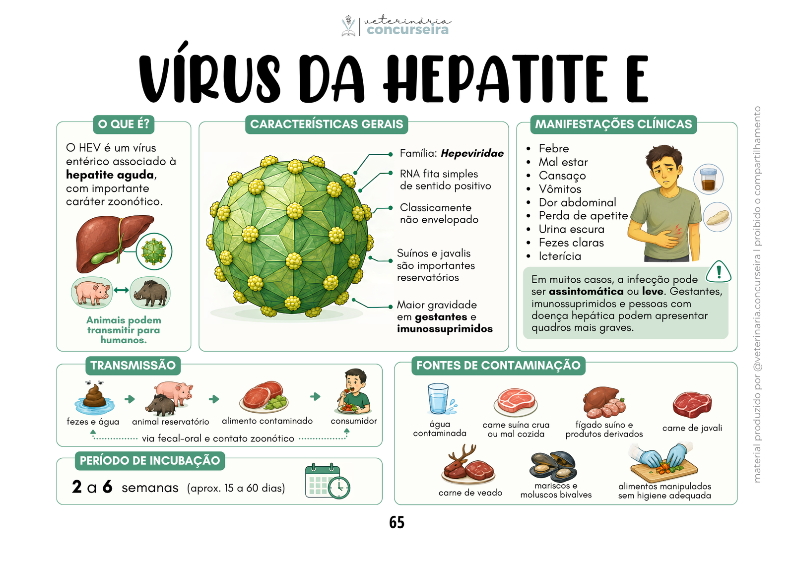 DTAS ATUALIZADO (12)