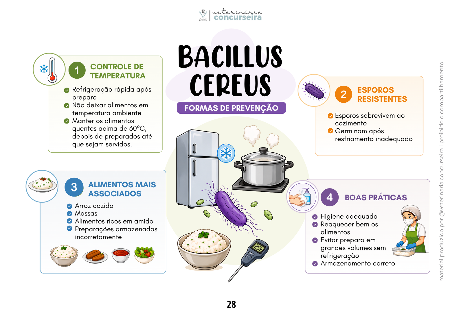 DTAS ATUALIZADO (9)