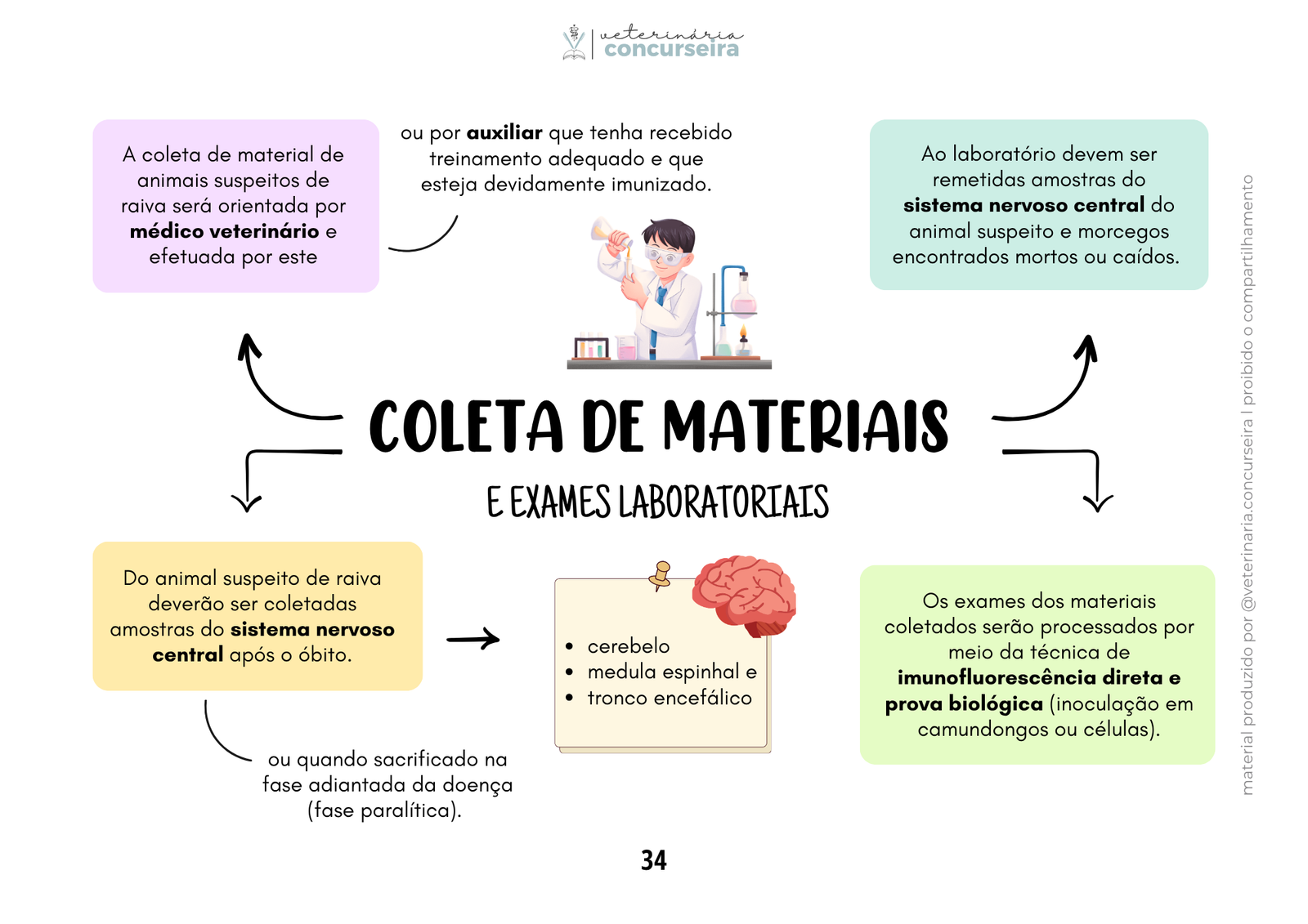 Programas sanitários ATUALIZADO (17)