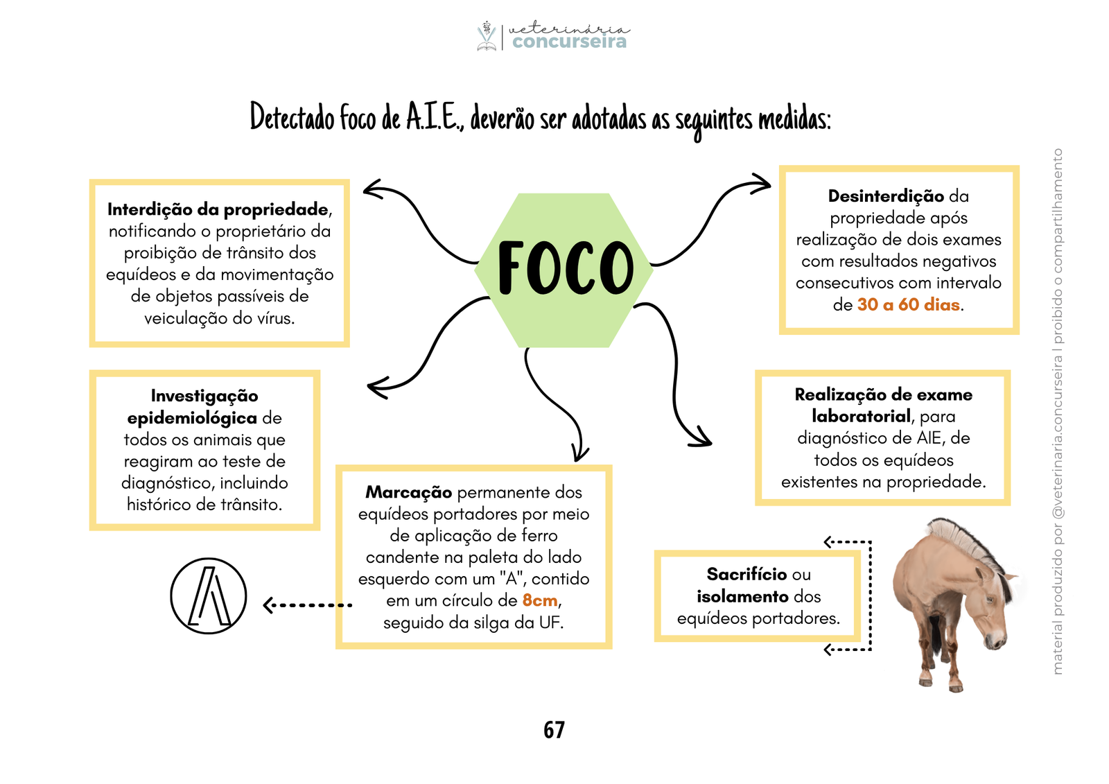 Programas sanitários ATUALIZADO (18)