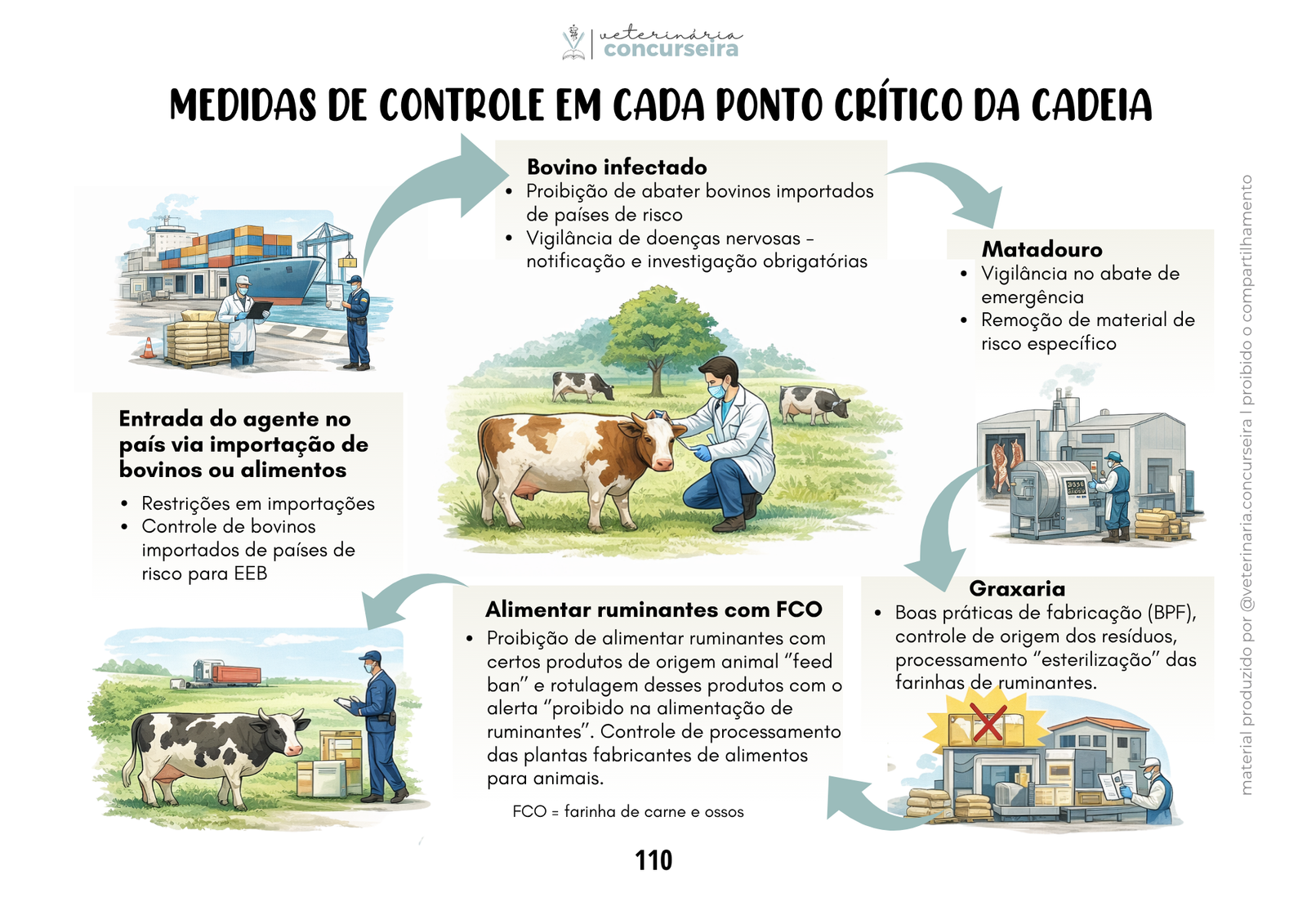 Programas sanitários ATUALIZADO (20)